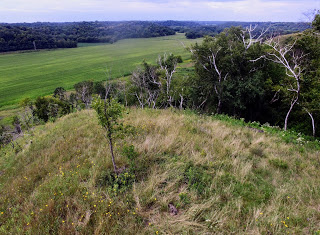 AlittlePervy's tweet photo. Stone Cairns above Red Wing, #Minnesota The way they look today, if there is anything left. And the way they once looked a long time ago. #AncientAmerica #history #losthistory #RedWing #GoodhueCounty #BarnBluff #Ancient #cairn https://t.co/l3BCCQMOW7