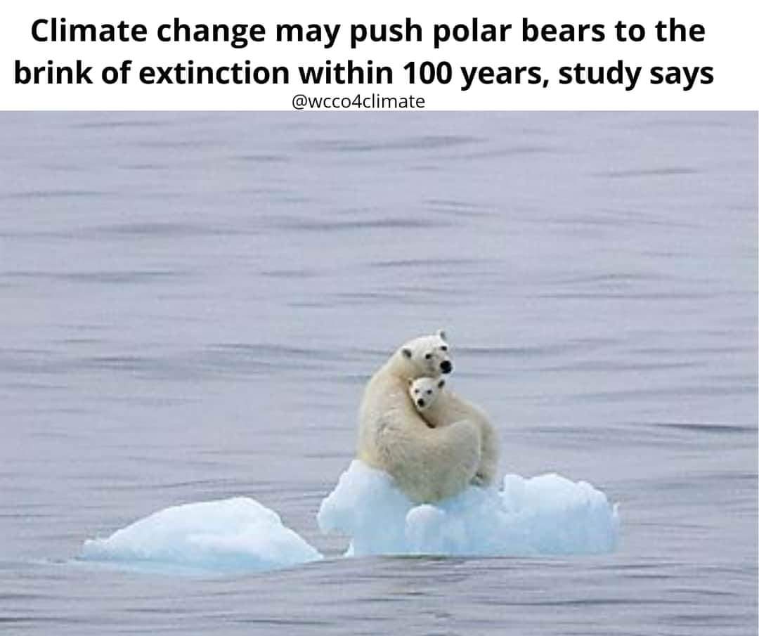 ec_talks's tweet photo. Still we r not realizing this thing that is really obvious but v hv just shut our eyes close😶😶
#PlantTreesSaveEarth  #SaveTreeSaveEnvironment 
#Ecology #EarthScience #Environment #Soothing #peace #satisfaction #beautiful #photography #incredible #Amazing #Birds #biodiversity https://t.co/KT0OS8czMG