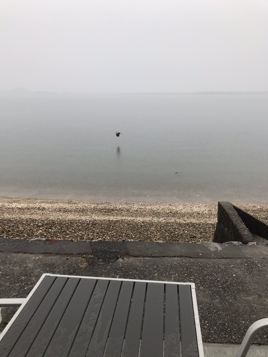 ikkifujiwara's tweet photo. 今日の　#浜名湖
#foggy #weekendathome #lakesidelife https://t.co/rbKnxTaXZ2