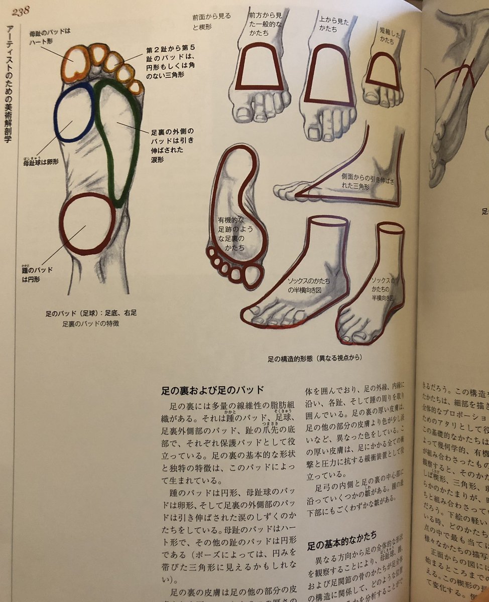 もくりで何か参考にしてる本ありますか?って聞かれてろくな返答ができなかったんですけど、強いて言うならこれですかね、、 人体わからなくて気が狂いそうになったら開いて気を休めてる 