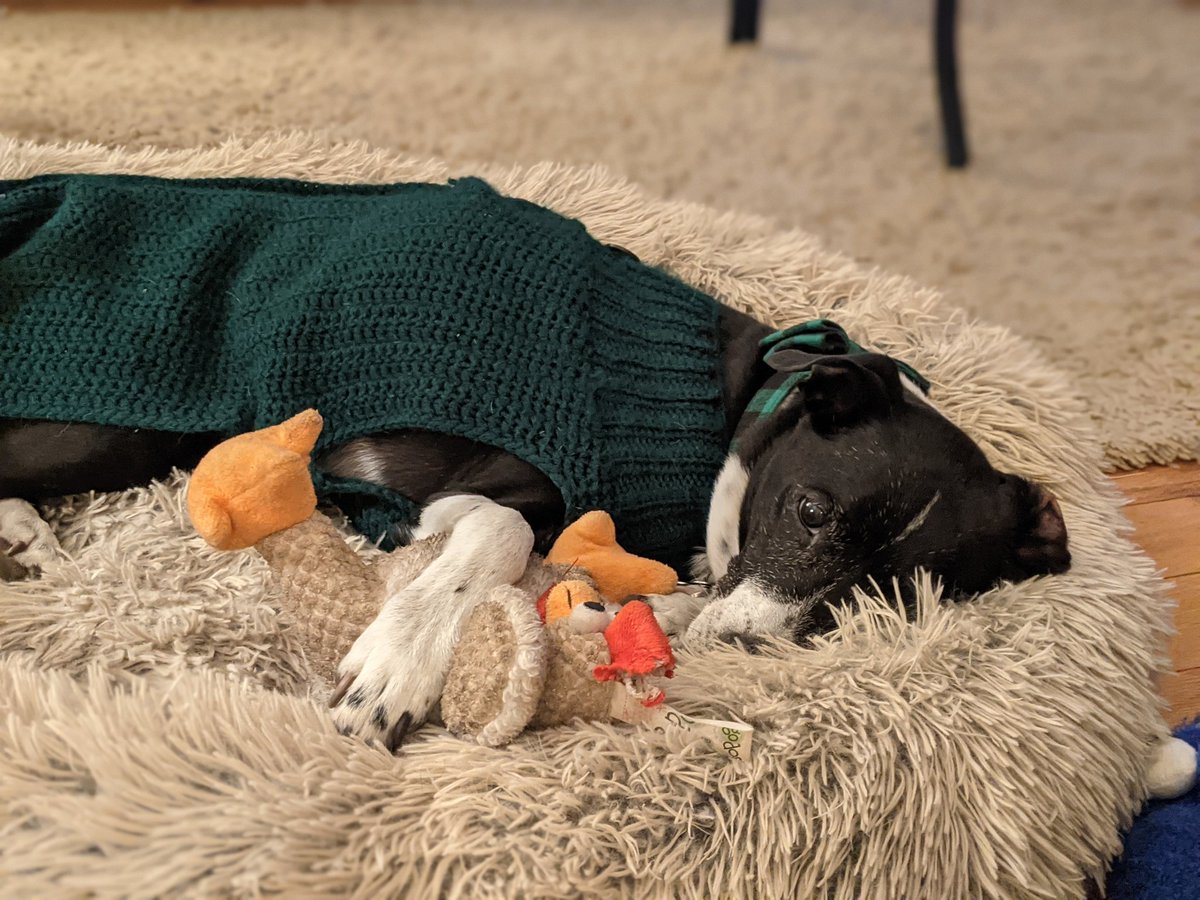 kevin_u's tweet image. Is it bedtime yet?