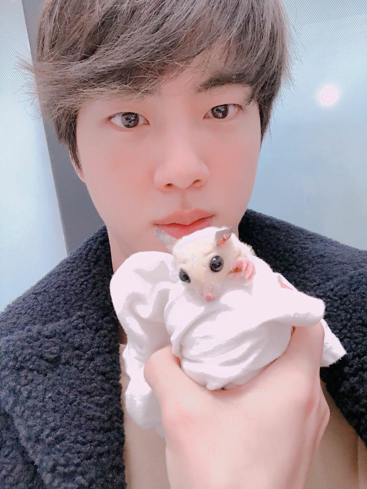 Jin used to have a dog Jjangu(2017)Two sugar gliders Eomuk(2018),Odeng(2019)He currently has a sugar glider named Gukmul.