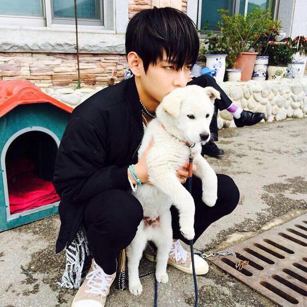 V had 3 dogsYeontan, Soonshim, Ssyongssyong And a cat.