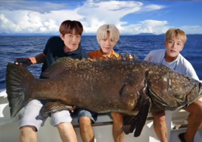 jungwooyy's tweet photo. รูปเหมือนแฟนคลับตัดต่อแกง แต่ป่าว รูปจากอฟช https://t.co/bd1TFtimtM