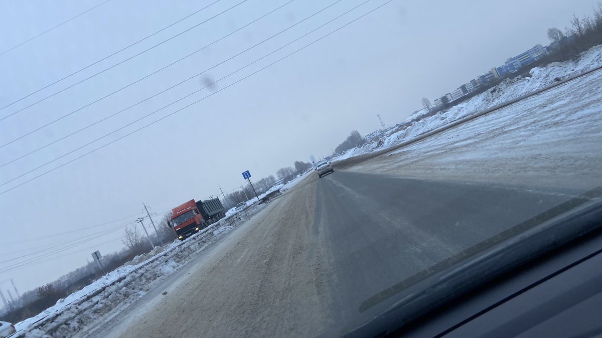 Полли tweet media