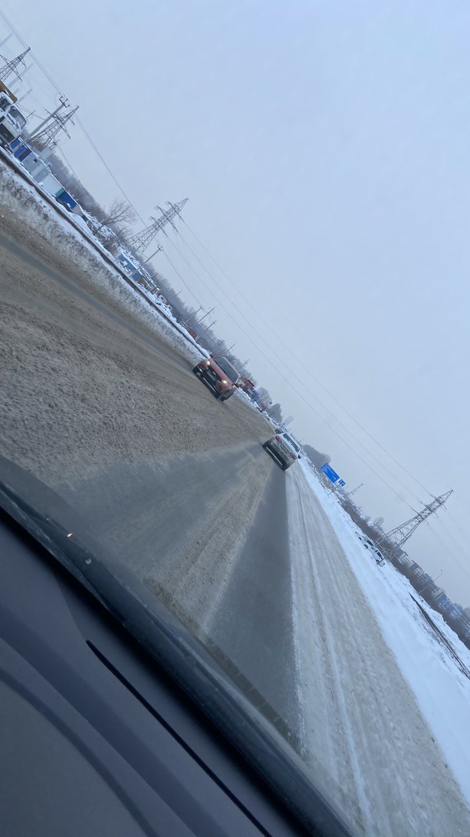 Полли tweet media