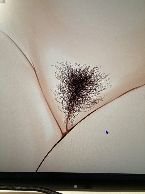 いんもうを仕込む… 