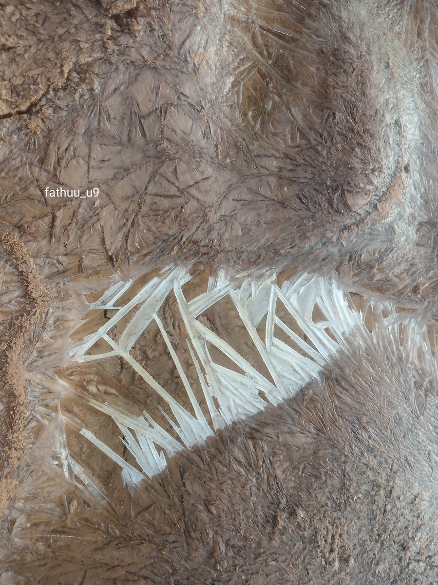 Fathimath Fathuu (fathuu_u9) tweet media