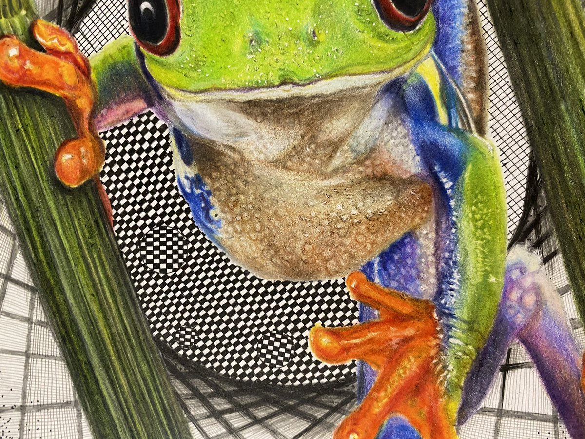 Sumion Na Twitteru カエルくん続きです 目が変になる事してます 目の錯覚描いてますよぉ 色鉛筆画 色鉛筆イラスト カエル ペン画 錯視 T Co Q0jl6erfck Twitter