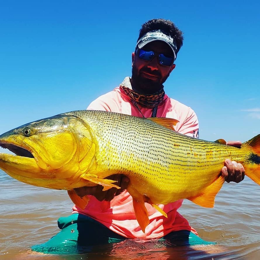 Rate that catch ?/10