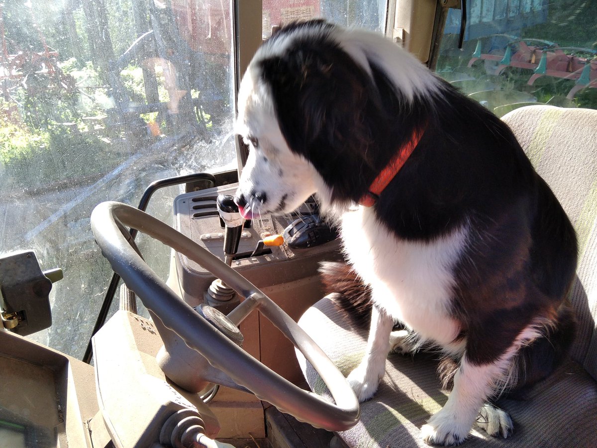 Hola món! Sóc la #Uolis, i sóc vinguda aquí al tuister per explicar cosotes, però sobretot per insultar aquell oreiut del #PastorNyerro i a la pija, mimada i consentida de la #Sinitzi.
Ens veiem per aquí. 
Salut i Xermelludaria.