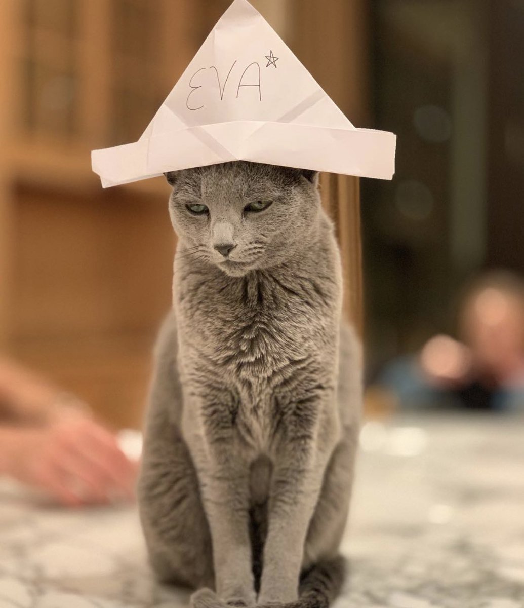 Paul Bettany as his cat Eva.(Very important thread)