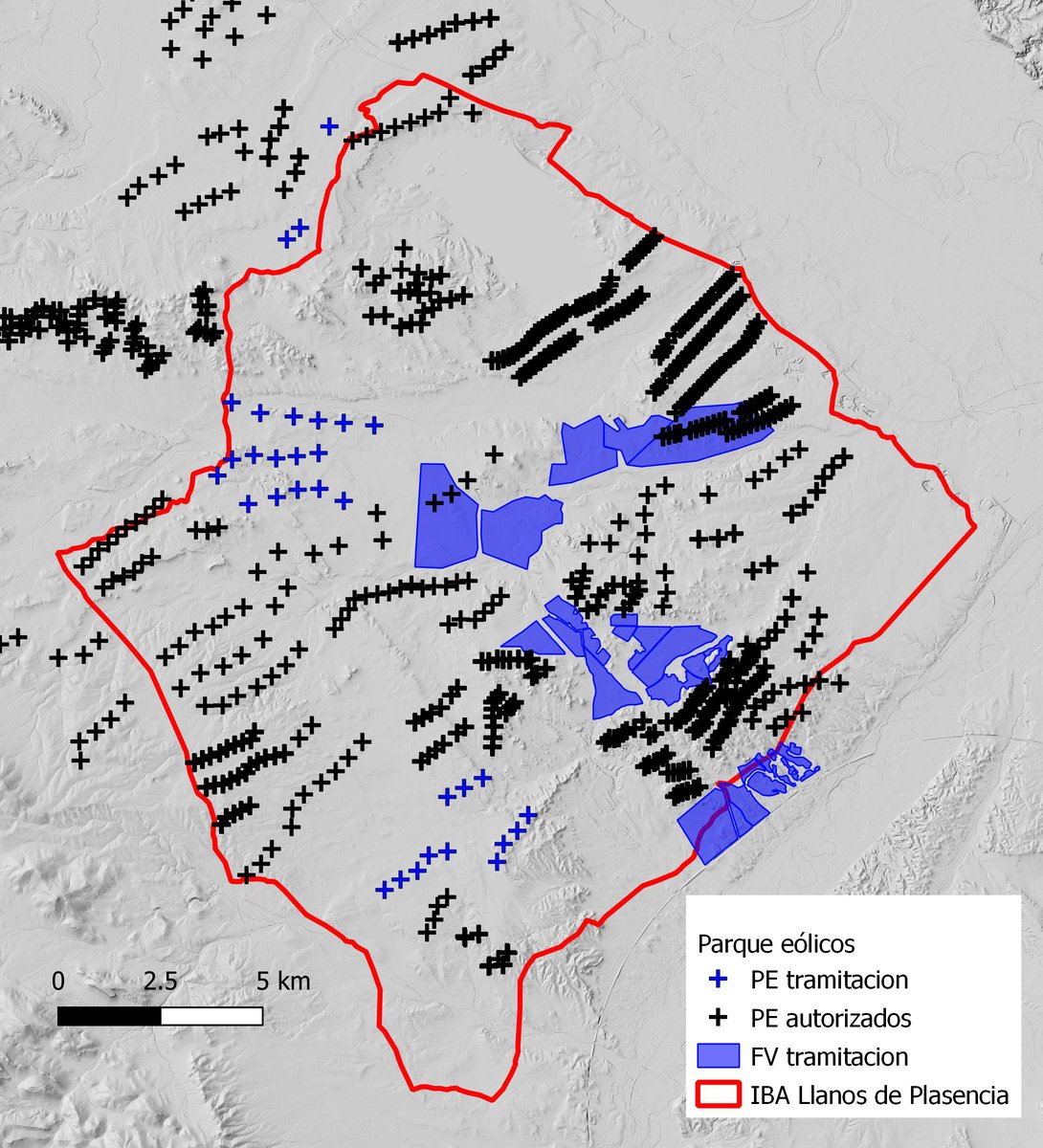 David Serrano tweet media