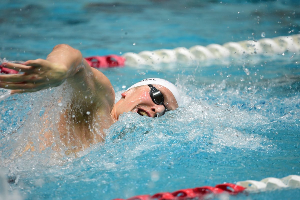 SMUSwimDiveM's tweet photo. 𝟭𝟬𝟬 𝗳𝗿𝗲𝗲

1️⃣ Forndal | 44.36
2️⃣ Butler | 45.25
3️⃣ Parnell | 45.35

💻 https://t.co/gYN5qs2EMG
⏱️ Meet Mobile App / https://t.co/pIOiFyIUch https://t.co/WO2SkSjnyQ
