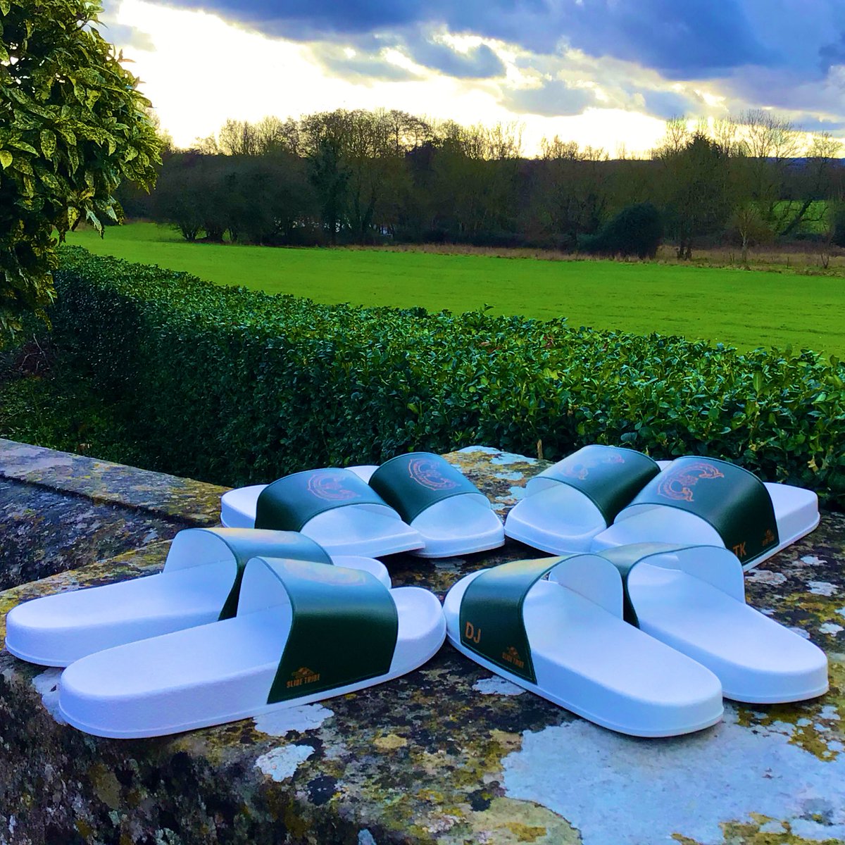 Embley Boarding tweet media