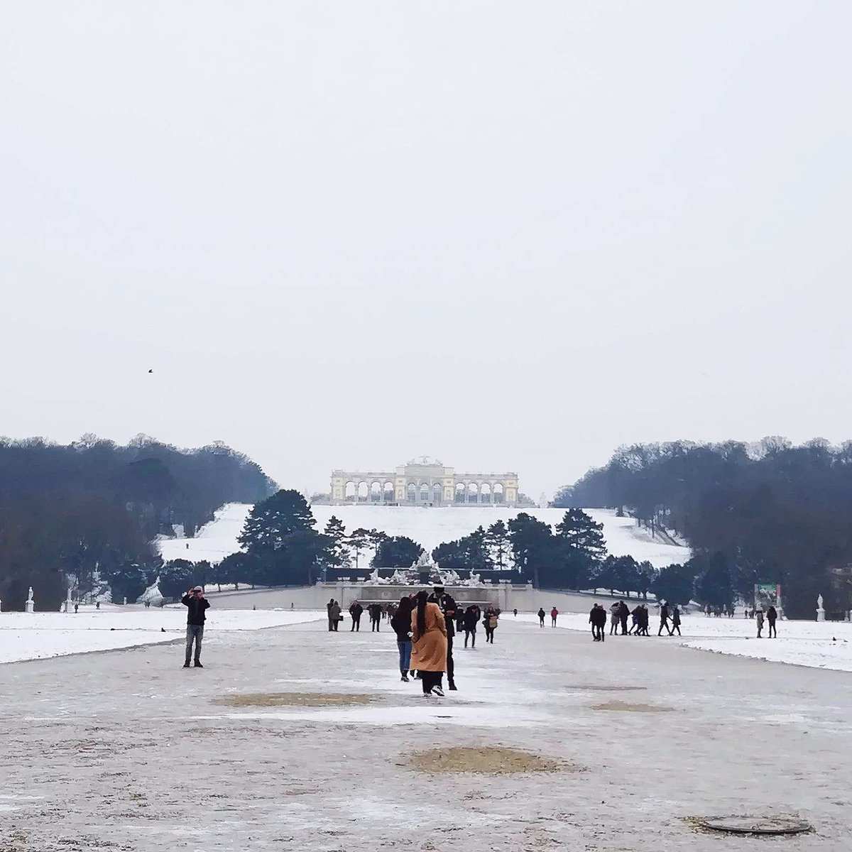 ite_blog's tweet photo. ❄️ The "backyard" of #Schönbrunn #Palace in winter time ❄️
#inspiredtoexplore #vienna_city #palacegarden #view #travelphotography #travelaustria https://t.co/T2tua6KlTc
