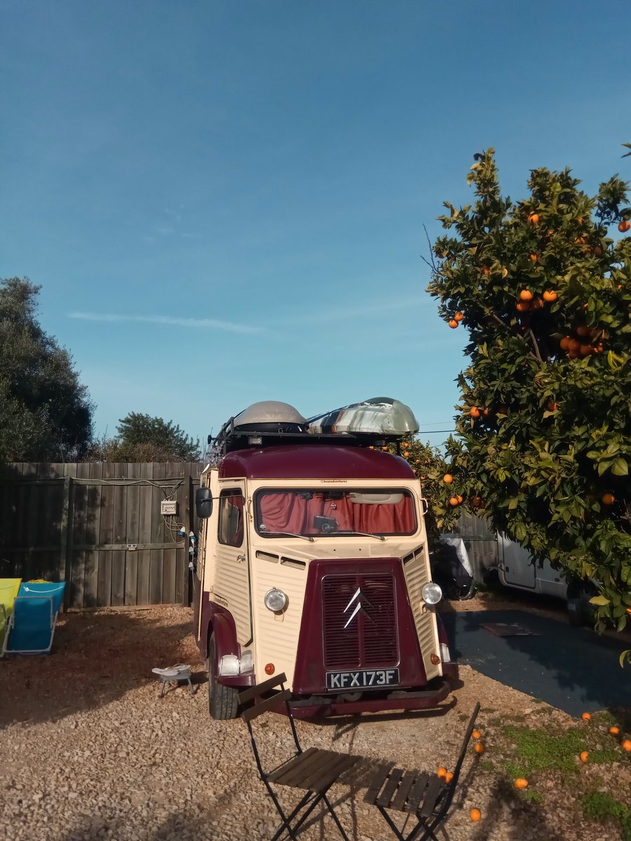 theandyevans's tweet photo. Hey @CCfunkandsoul tuned in tonight from sunny Portugal nestled in amongst the orange trees, not tuned in for a couple of weeks as we've not had signal, sooo glad to have it now 🎵🎶 https://t.co/um8YPLH9xE