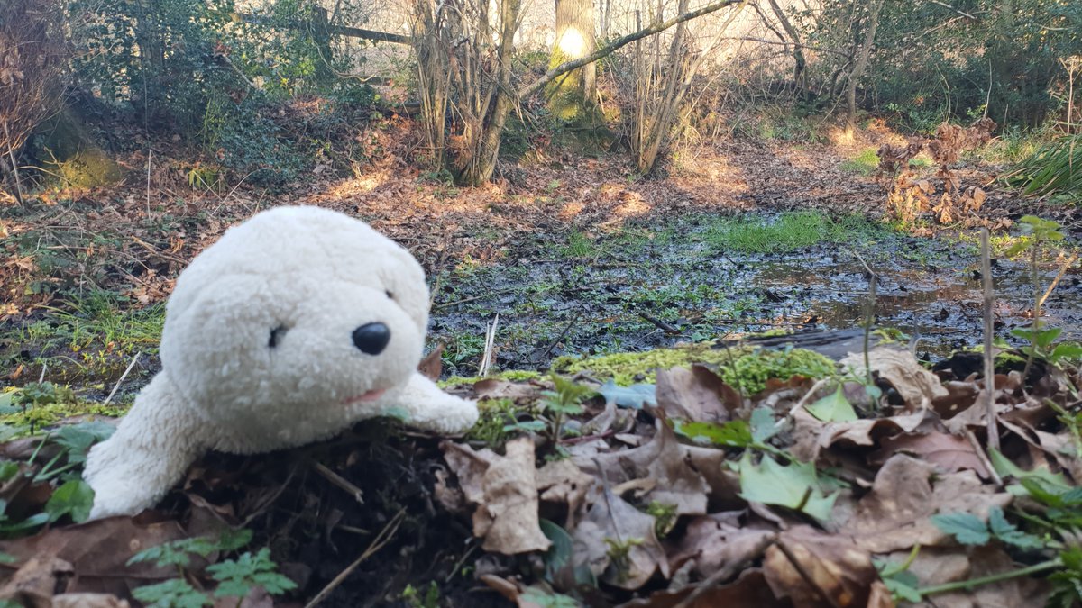 Celia Celia hope everyone has a lovely weekend! Please follow:

@lovesmadtom <a href="/StruppiDog/">Struppi the dog and Zorro!</a> <a href="/OhHTFU/">Ms Kaz</a> <a href="/Nightbird7115/">Josie Boo & Wickett😇 Nico😇 #ZSHQ #OTLFP</a> <a href="/colliefullife/">Collieful Life 🏴󠁧󠁢󠁳󠁣󠁴󠁿</a> <a href="/growlerpbear/">Growler P Bear</a> <a href="/Ckapuga/">steph</a> <a href="/msMorgan1968/">ℳ𝒪ℛ𝒢𝒜𝒩🌹</a> <a href="/Veronicahallis1/">Hamish the little pocket rocket. Fly high Toby 🌈</a> <a href="/stuffedofficial/">Youtube.com/c/StuffedProductions</a> @RosieBasset <a href="/27reasonstorock/">carole noble</a> <a href="/BonganiGiraffe/">Bongani</a> @BostonBabies2 <a href="/3turn/">Loren Crawford</a> <a href="/AnnLewis27/">Ann Lewis 🌸</a>