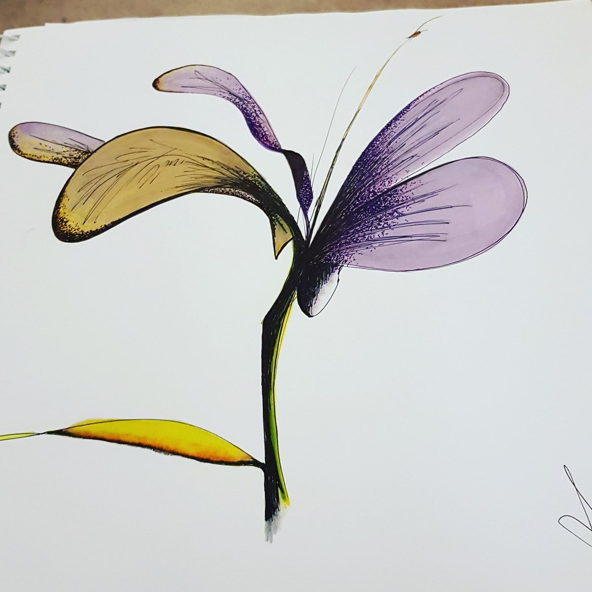 RamptonSuzanne's tweet photo. @RHCPupdates @Therapists_C Therapeutic relationship means acceptance to me. https://t.co/oNtEAGvRll