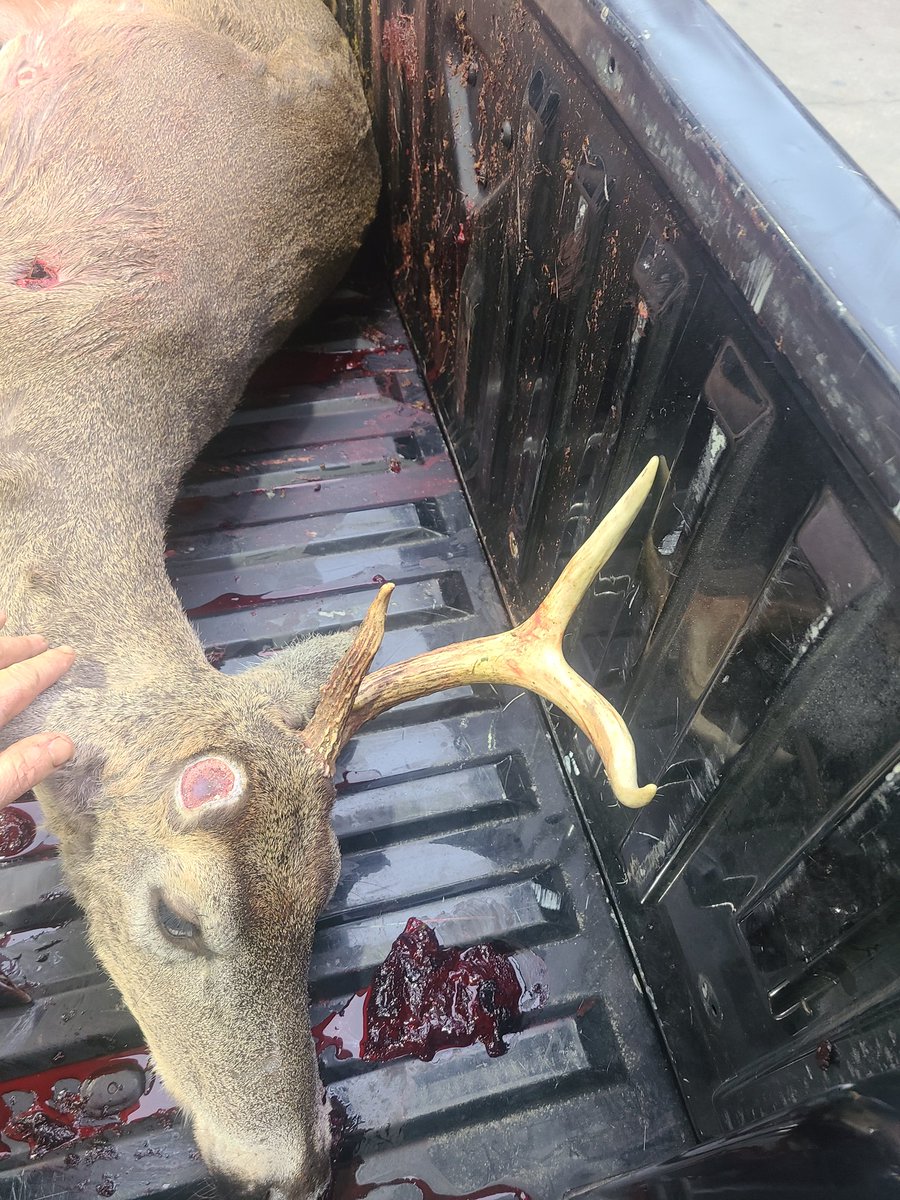 seminoles100805's tweet photo. Time to stock the feeezer #godfood #goodforthesoul https://t.co/YbQC6093dk