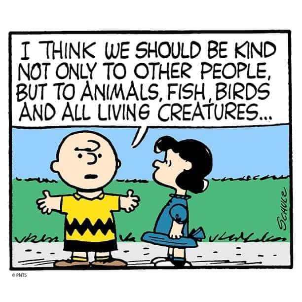 Good morning &amp; happy Saturday ☕🥞🍳🌄
#SaturdayThoughts #morningvibes #BeKind