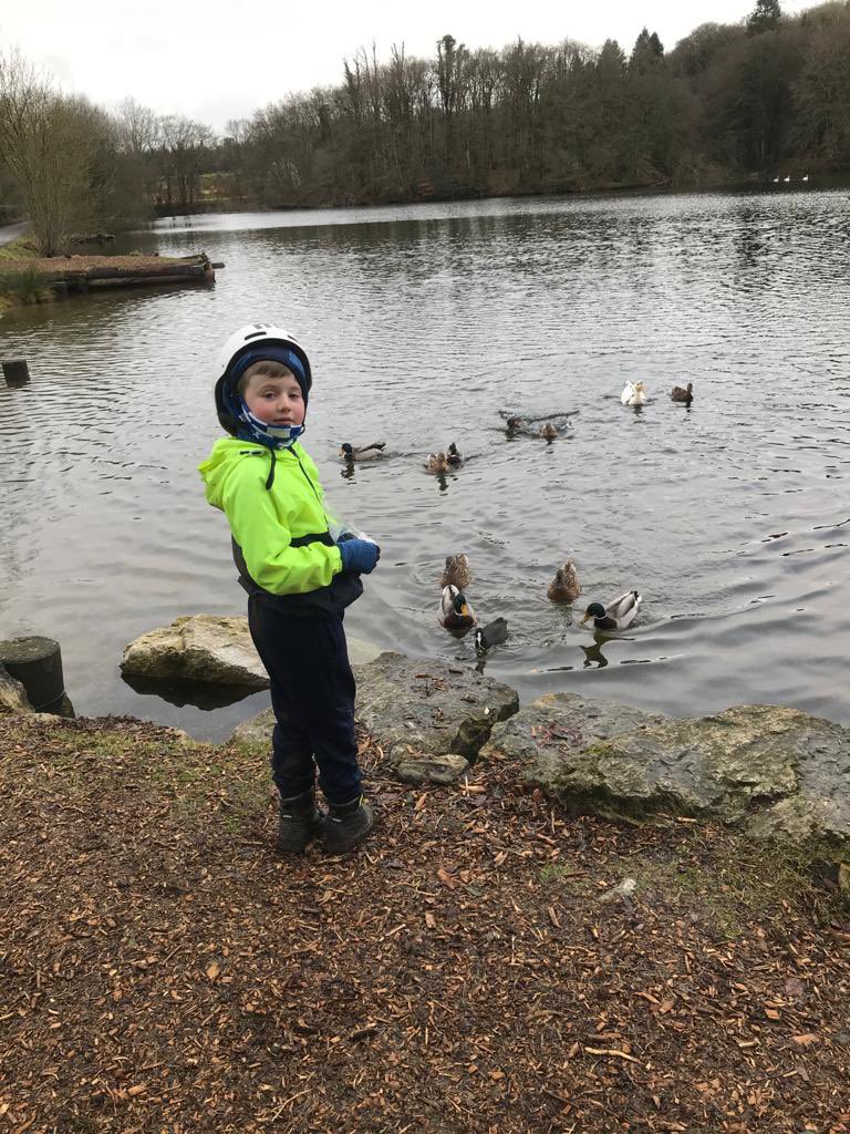 Laoiseman tweet media