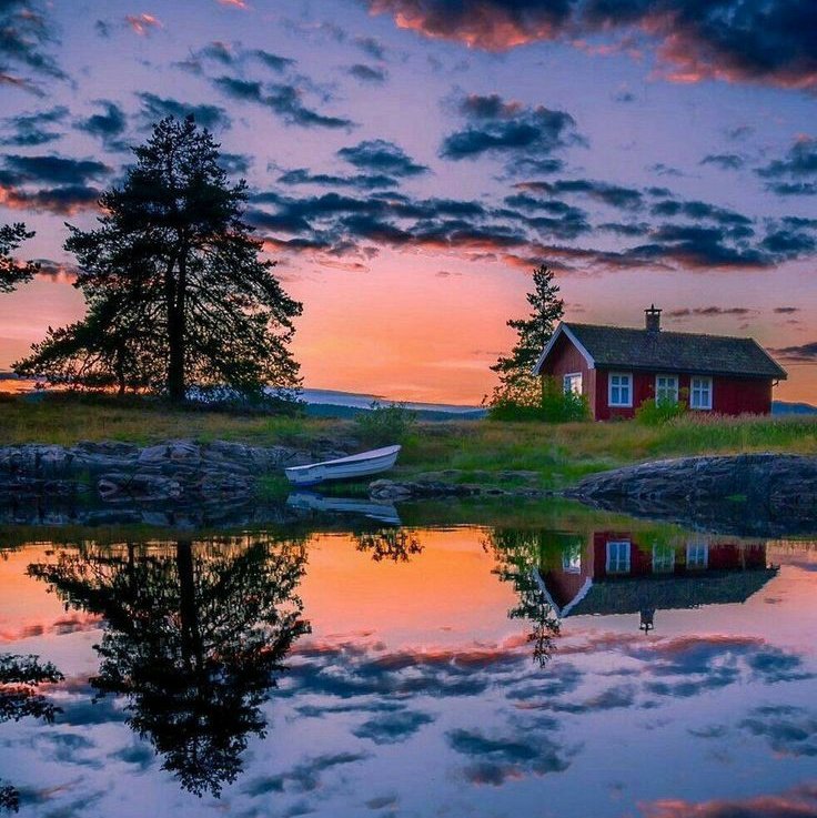 BeautyNature___'s tweet photo. Good evening.
#nature #NaturePhotography https://t.co/gB8DbRjRwf