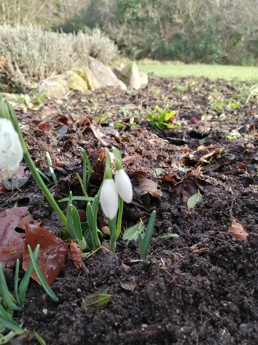 How great it is to get back outside.
Monday is Brigid's Day. The start of Spring.