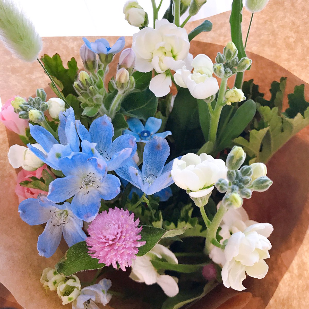 Mimin はな恋 京王 つつじヶ丘の京王のフラワーショップで発見しました 有村架純 ちゃんが持ってた花束 かわいいー 特に猫じゃらしみたいなやつが好き 菅田将暉も好き 早く映画も観たい 撮影場所が家からも職場からも近くてびっくりでした