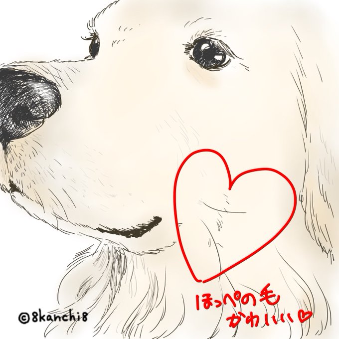 ゴールデンレトリーバーの魅力のtwitterイラスト検索結果