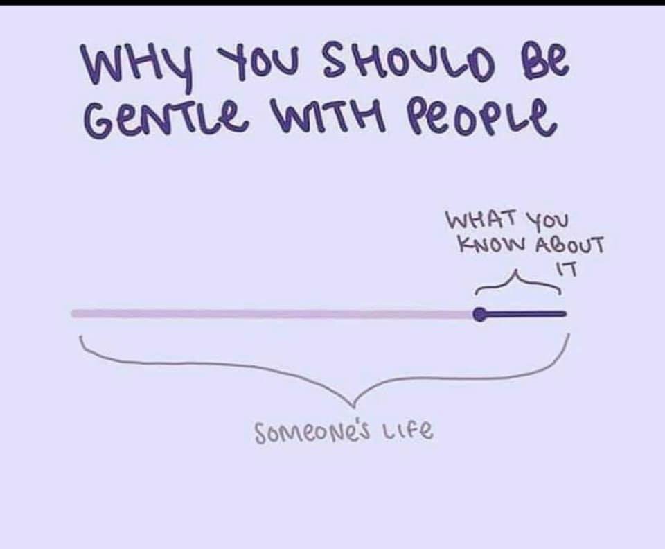 Kristen Canning tweet media