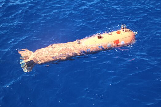 6) Dive Dragon Series & Sea Whale (UUV)6a) Submerged Dragon 1Length:4.6m Diameter:0.8mWeight:1.5T:Speed:2ktEndurance/Range:24hrDeveloper:China Shipbuilding Industry Corporation17/26
