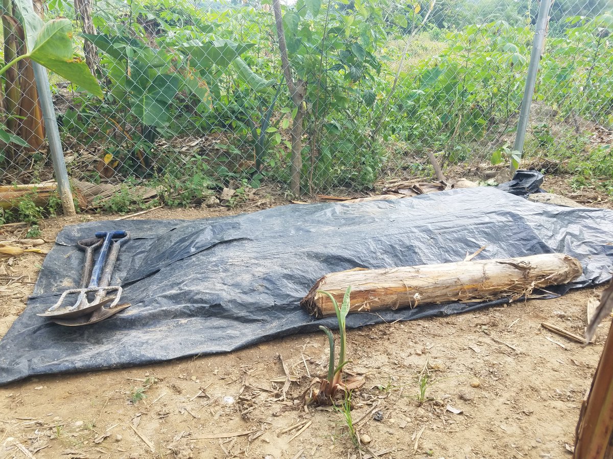 gayoghana's tweet photo. GAYO has started it's #Sustainable #Community #Project on #Composting. This project has employed 7 individuals while generating #revenue  for over 20 persons.

#gayoghana
#gayoscp
#community development https://t.co/pFfAZf5VCK