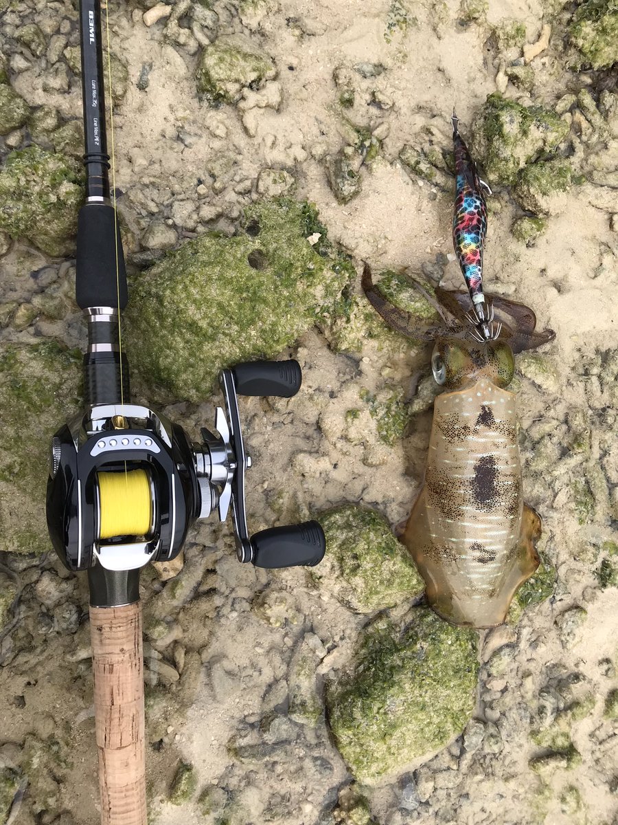 テイルウォーク Hashtag Pa Twitter