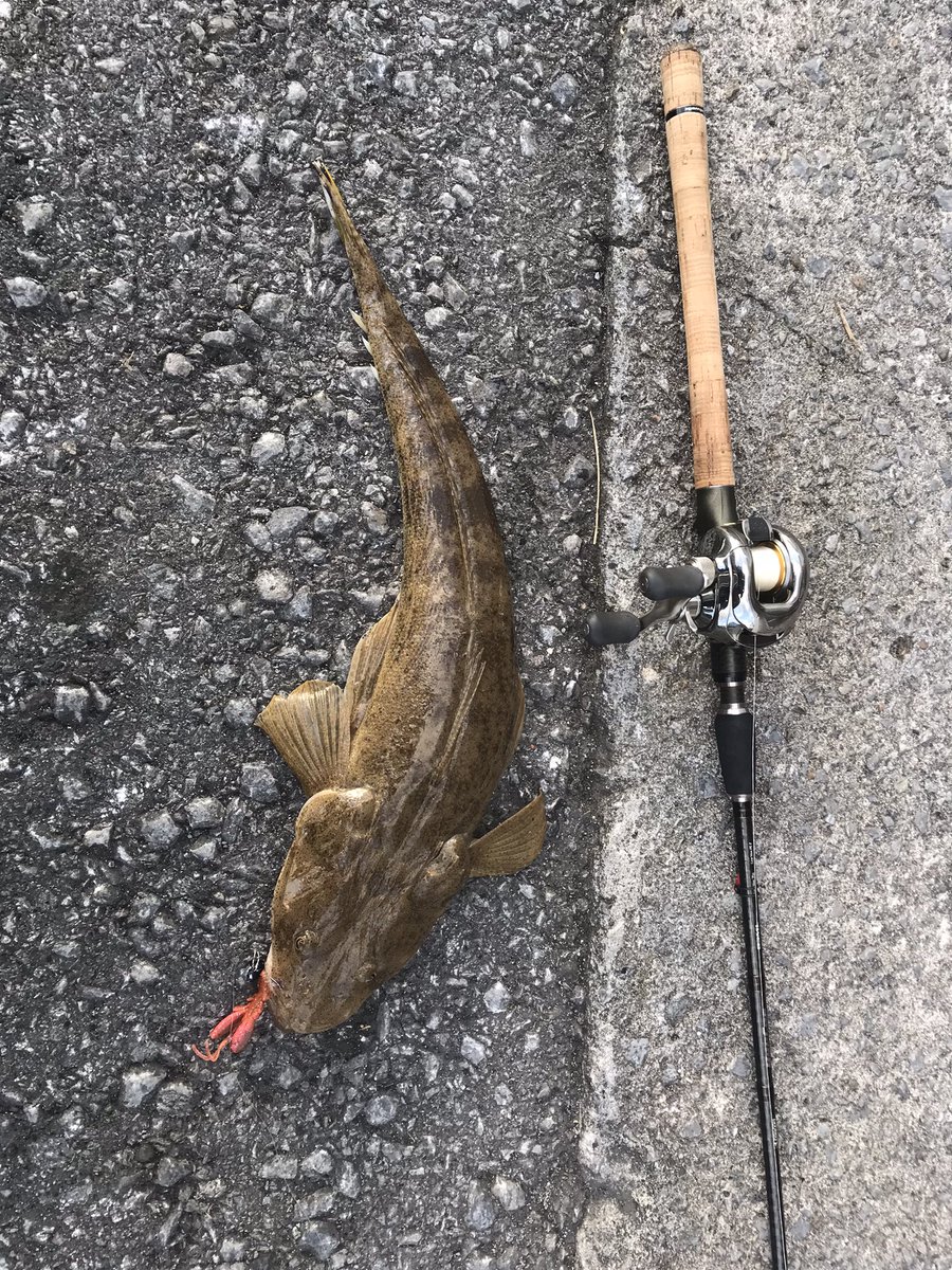 テイルウォーク Hashtag Pa Twitter