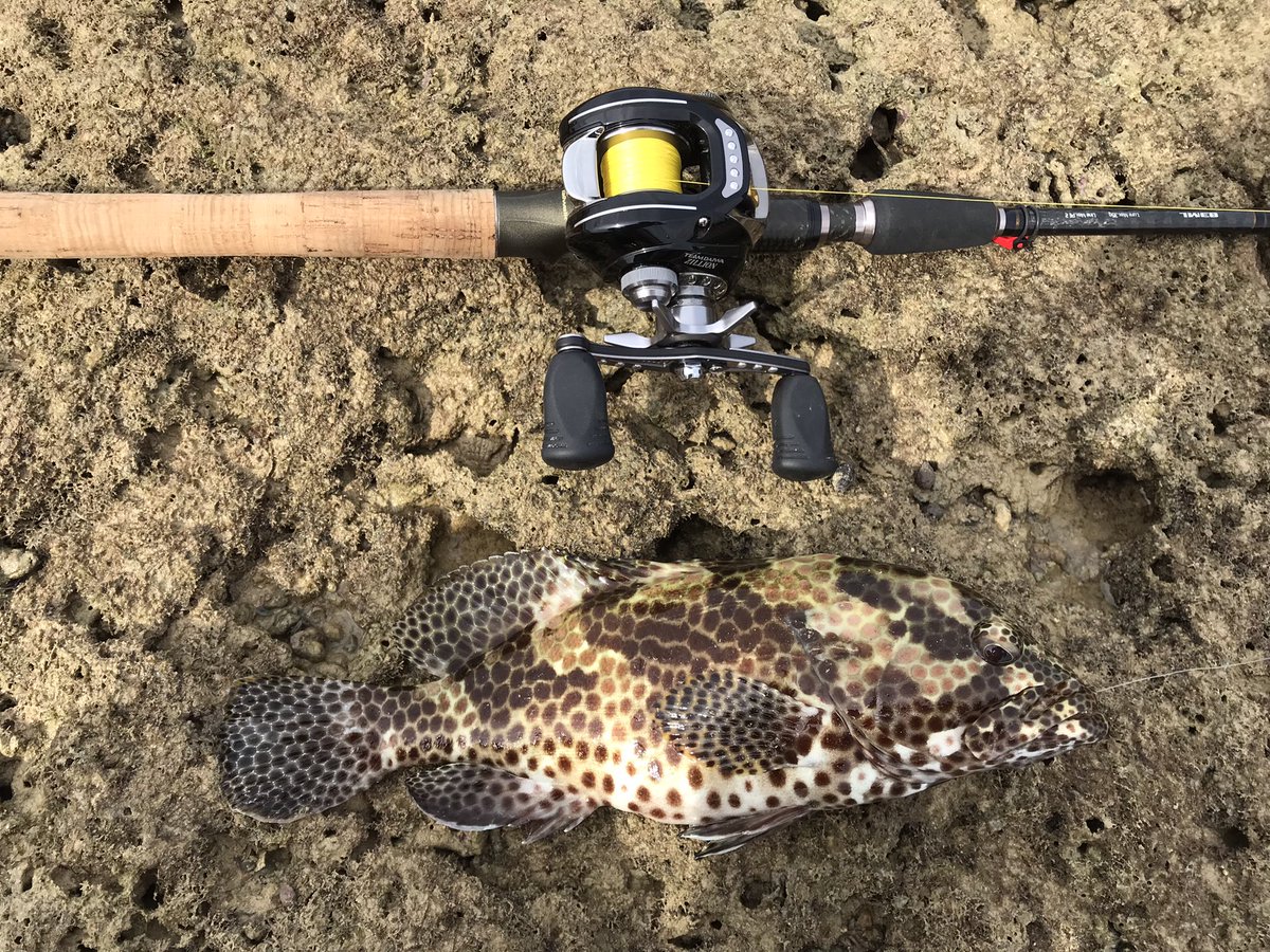 テイルウォーク Hashtag Pa Twitter