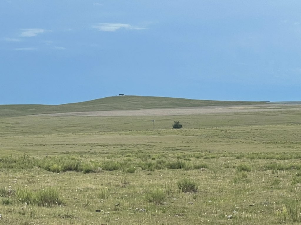 juan jose bazzano (@juanbazzano) on Twitter photo 