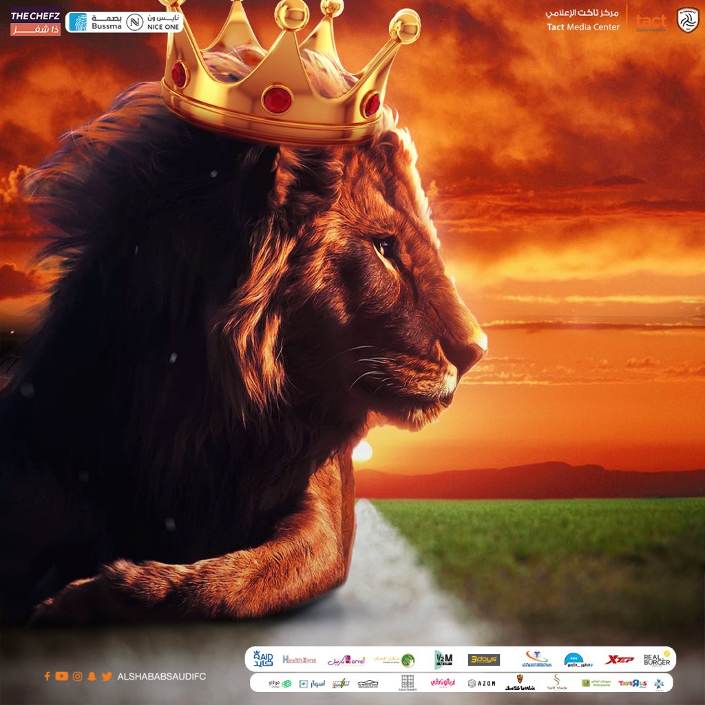 AlShababSaudiFC's tweet image. #الشيوخ_بالصدارة 🦁💪🏼

مبروووووك 🤍🖤🧡