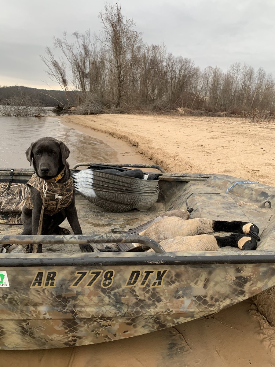 clintbacchus's tweet photo. Solo Hunt. Limit by 7:35. Beat the Rain. Needed more Guns. @BacchusDrake @ntvoreis https://t.co/UCU2EMMD8v