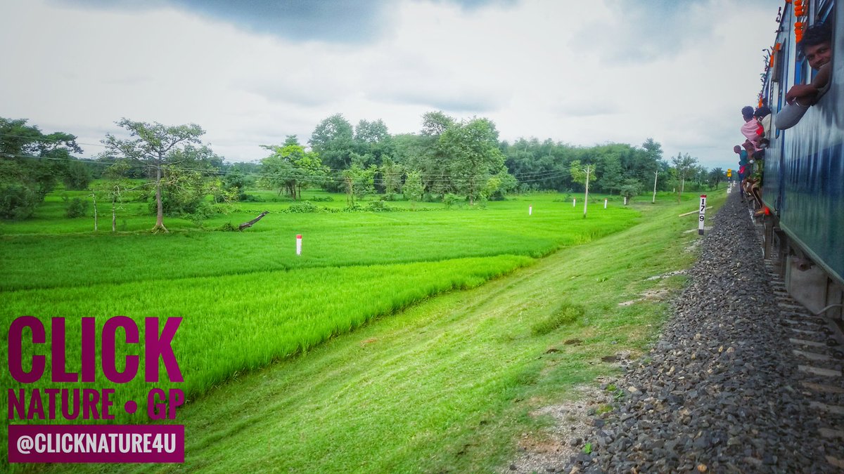 clicknature4u's tweet photo. It's a normal pic but it shows a lots of things...one thing is our beautiful sky and second thing is our beautiful trees... greeny..
#clicknature #clicknature4u #beauty #nature #green #trees https://t.co/PEQQw5kEXP