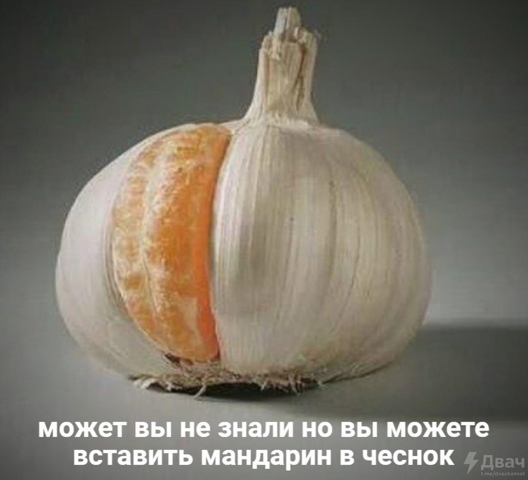 Es_S7lGXcA4SskI?format=jpg&name=medium