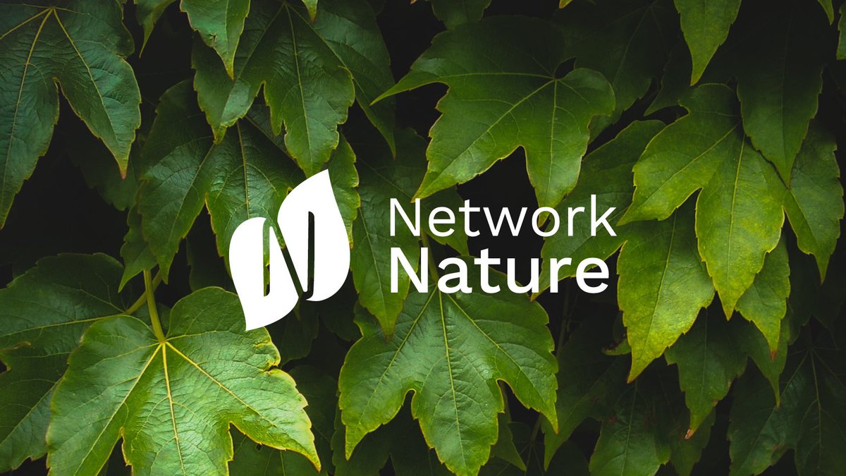 It is in our nature to network - we will expand the wider #naturebasedsolutions community and support in implementing &amp; amplifying your work🍀

Come explore #NetworkNature ⬇️ networknature.eu

<a href="/ICLEI_Europe/">ICLEI Europe</a> <a href="/OpplaCommunity/">Oppla</a> <a href="/SteinbeisGlobal/">Steinbeis</a>  <a href="/BiodivERsA3/">BiodivERsA3</a> <a href="/IUCN/">IUCN</a> @IUCNBrussels