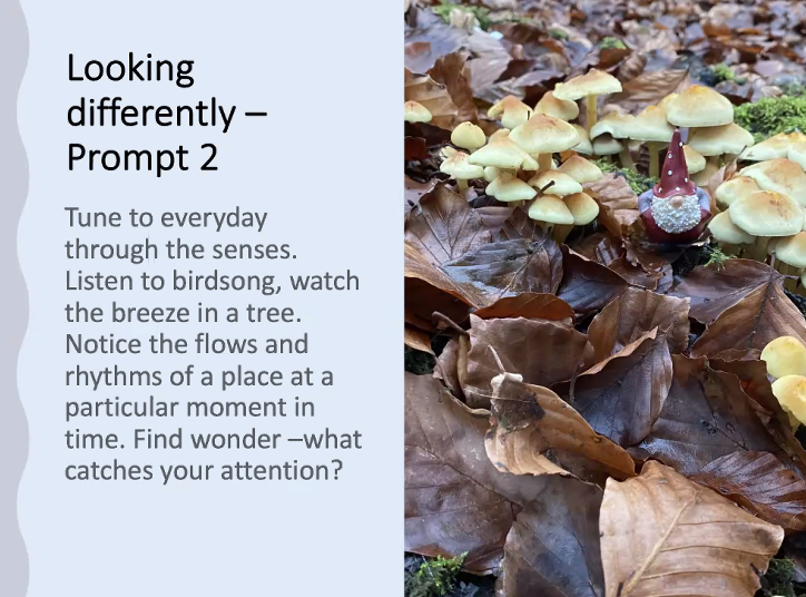 EYPPC_GA's tweet photo. Four prompts for walking and discovering the hyperlocal #GeographyDrift @GTEConf21 #GTEConf21
Thanks to @SharonWitt17 @Attention2place for the inspiration. Collages, soundfiles, wordphrases, join us in the next hour to see what we found.
Potential for home-schooling? #geography https://t.co/IZAYkCKofn