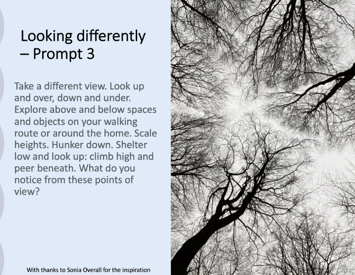 EYPPC_GA's tweet photo. Four prompts for walking and discovering the hyperlocal #GeographyDrift @GTEConf21 #GTEConf21
Thanks to @SharonWitt17 @Attention2place for the inspiration. Collages, soundfiles, wordphrases, join us in the next hour to see what we found.
Potential for home-schooling? #geography https://t.co/IZAYkCKofn