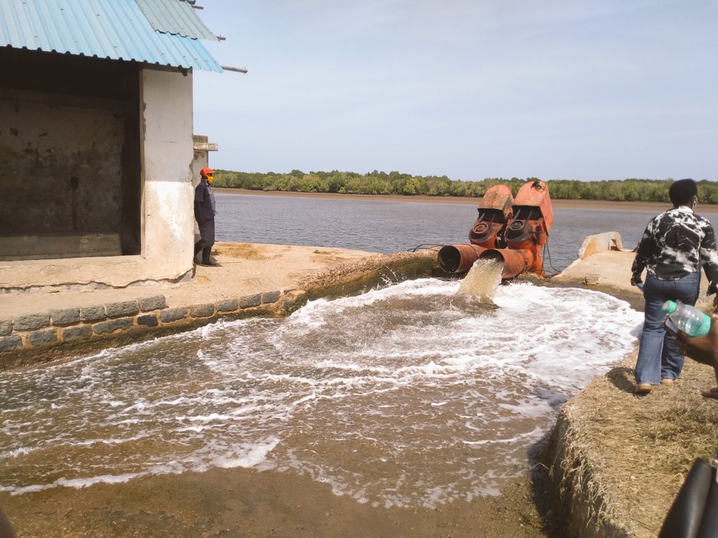 ScienceComms1's tweet photo. @EOgello at Kensalt saltworks during a workshop on #artemia production. More artemia more salt #betterlivelihoods #cleanersalt. @Maseno_Uni @KmfriResearch @tafirihq https://t.co/Y8Iy105zMg