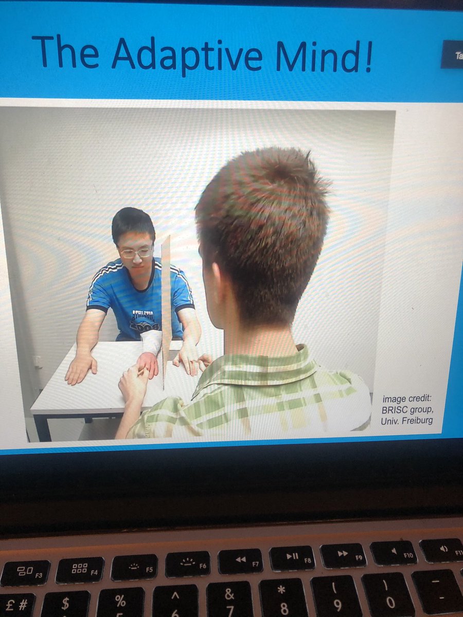 The brain reacts to stimuli