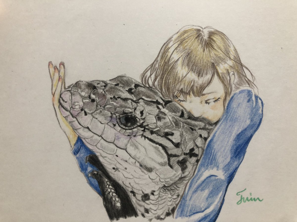 爬虫類イラスト