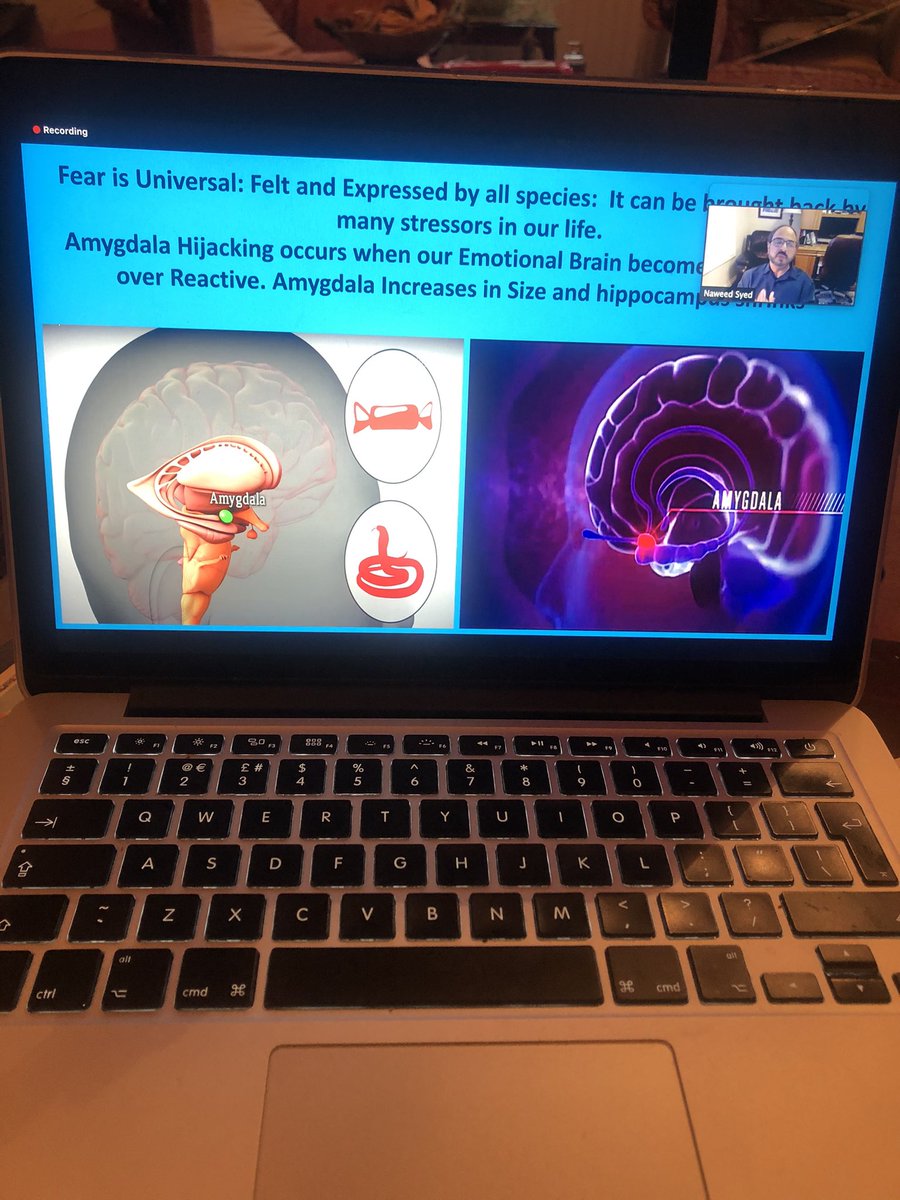 Fear is universal. Amygdala releases hormone but is immune from the hormone itself.