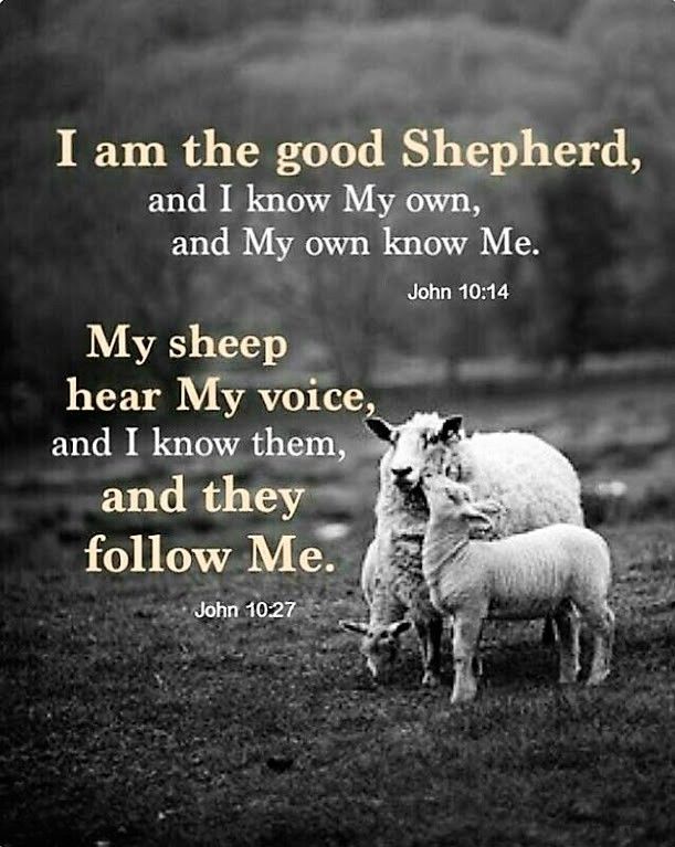 CalvaryCCLife's tweet photo. Relationship https://t.co/jvO4qEhXsr