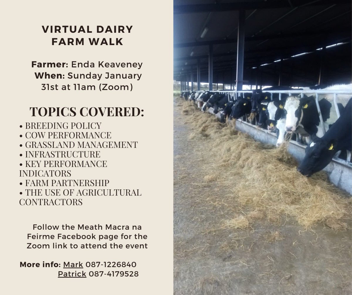 All welcome to our virtual dairy farm walk tomorrow morning at 11am. DM our Facebook page for link